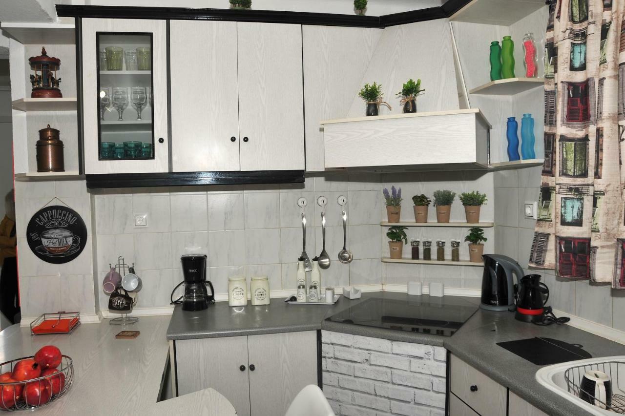 Garden House / Amazing View Apartment Kalampáka Luaran gambar